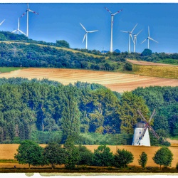 Impressionen: Windmühle & Halchter