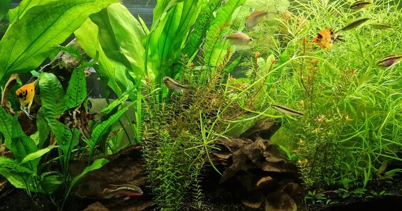 Raumteiler 540 l Aquarium 