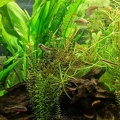 Raumteiler 540 l Aquarium 