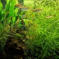 Raumteiler 540 l Aquarium 