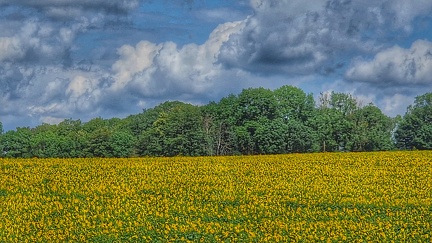 Blick vom alten Betonwerk zwischen Erkerode und Hemkenrode