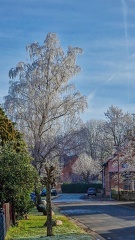 Volzum, Steinstraße