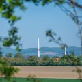 DSC 7571