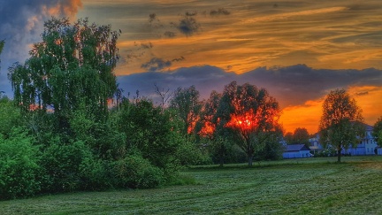 Abendsonne 