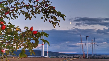 Mond im Windpark Ahlum 