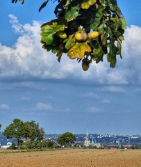 Hauptkirche 